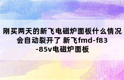 刚买两天的新飞电磁炉面板什么情况会自动裂开了 新飞fmd-f83-85v电磁炉面板